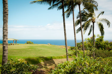 Puamana Hale Palekaiko 